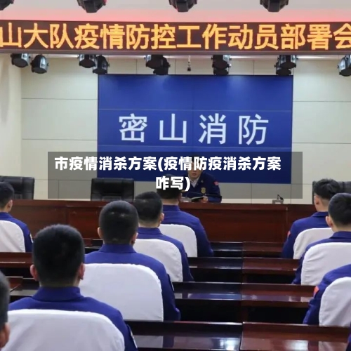 市疫情消杀方案(疫情防疫消杀方案咋写)