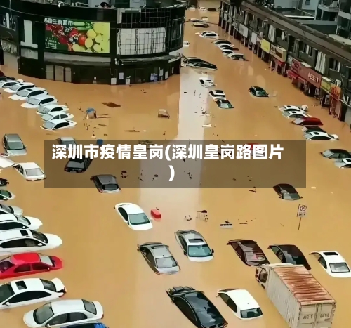 深圳市疫情皇岗(深圳皇岗路图片)-第3张图片