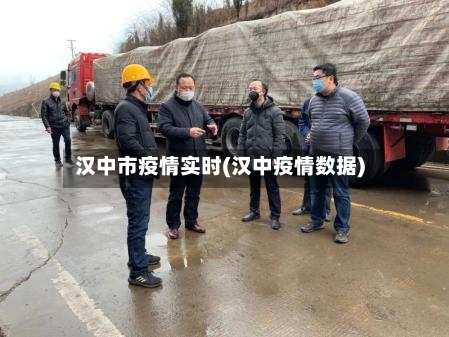 汉中市疫情实时(汉中疫情数据)-第3张图片