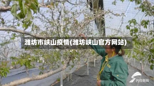 潍坊市峡山疫情(潍坊峡山官方网站)