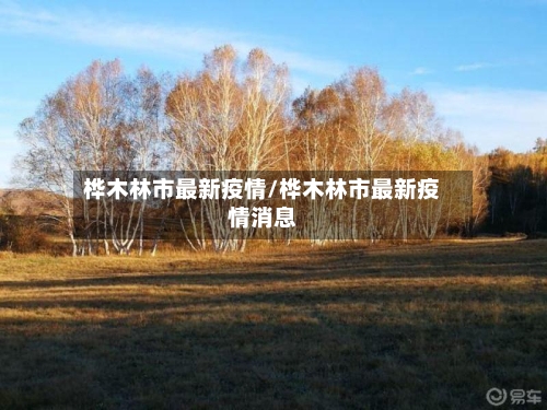 桦木林市最新疫情/桦木林市最新疫情消息