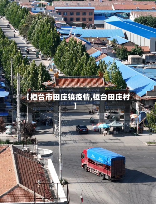 【桓台市田庄镇疫情,桓台田庄村】