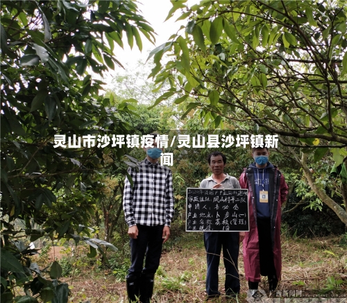 灵山市沙坪镇疫情/灵山县沙坪镇新闻-第2张图片