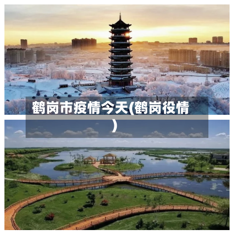 鹤岗市疫情今天(鹤岗役情)-第1张图片