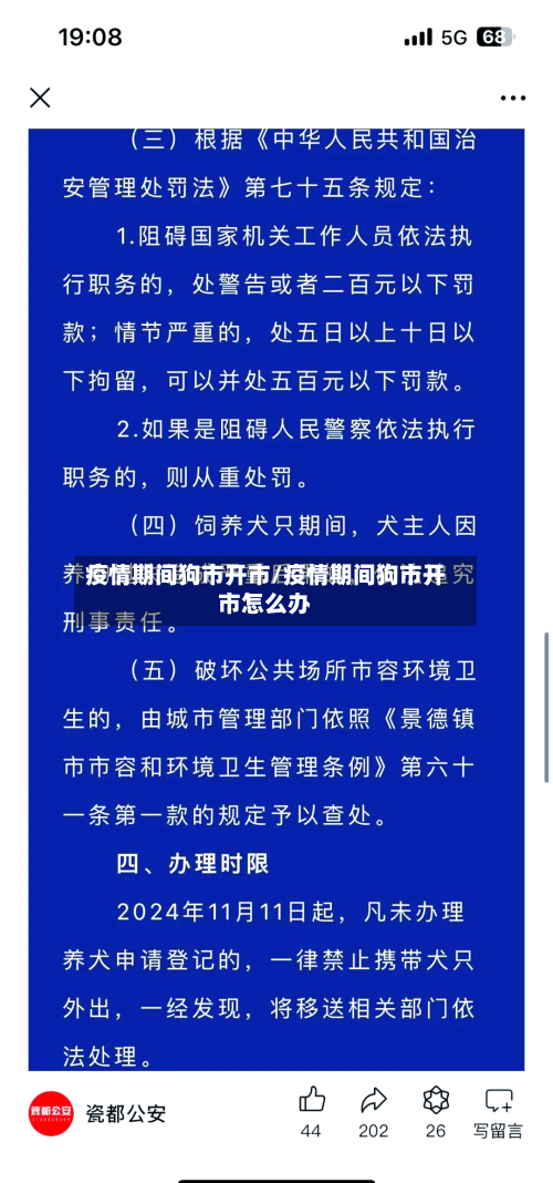 疫情期间狗市开市/疫情期间狗市开市怎么办-第1张图片