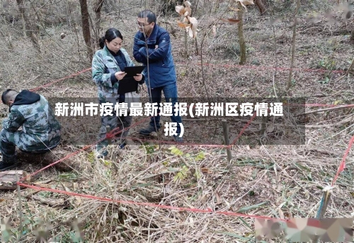 新洲市疫情最新通报(新洲区疫情通报)-第2张图片