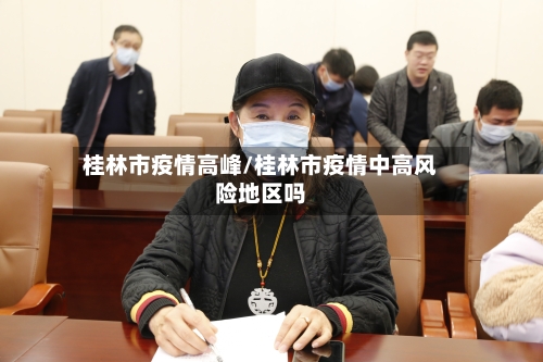 桂林市疫情高峰/桂林市疫情中高风险地区吗