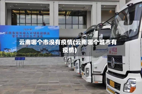 云南哪个市没有疫情(云南哪个城市有疫情)-第3张图片