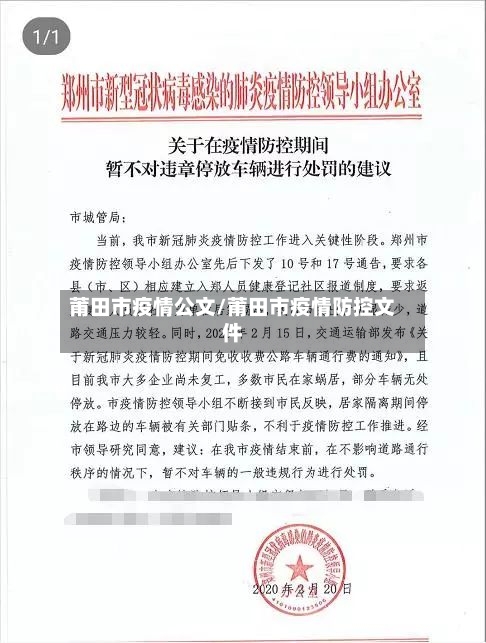 莆田市疫情公文/莆田市疫情防控文件