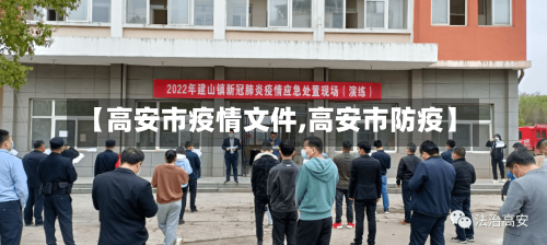 【高安市疫情文件,高安市防疫】-第2张图片