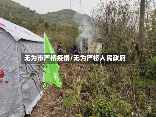 无为市严桥疫情/无为严桥人民政府