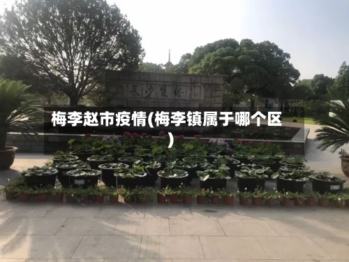 梅李赵市疫情(梅李镇属于哪个区)-第3张图片