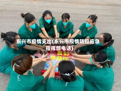 东兴市疫情支出(东兴市疫情防控应急指挥部电话)-第1张图片