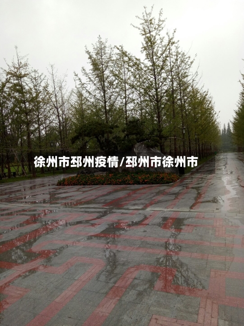 徐州市邳州疫情/邳州市徐州市