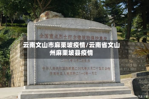 云南文山市麻栗坡疫情/云南省文山州麻栗坡县疫情-第2张图片