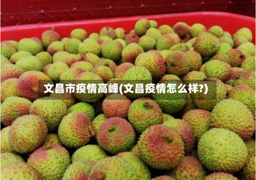 文昌市疫情高峰(文昌疫情怎么样?)-第2张图片