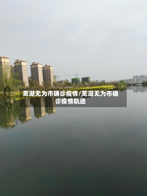 芜湖无为市确诊疫情/芜湖无为市确诊疫情轨迹