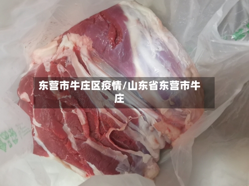 东营市牛庄区疫情/山东省东营市牛庄