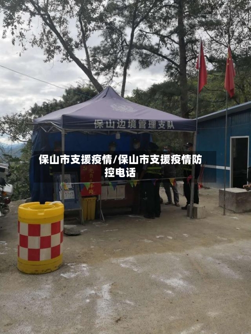 保山市支援疫情/保山市支援疫情防控电话-第2张图片