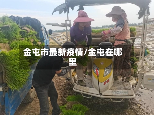 金屯市最新疫情/金屯在哪里-第3张图片