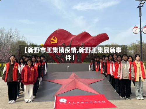 【新野市王集镇疫情,新野王集最新事件】-第1张图片