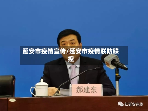 延安市疫情宣传/延安市疫情联防联控