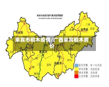 来宾市桐木疫情/广西来宾桐木房价-第2张图片