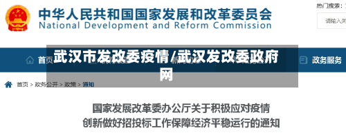 武汉市发改委疫情/武汉发改委政府网