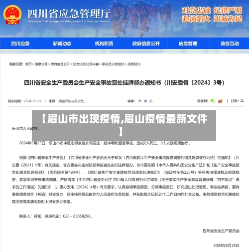 【眉山市出现疫情,眉山疫情最新文件】-第3张图片