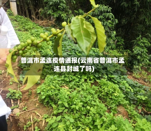 普洱市孟连疫情通报(云南省普洱市孟连县封城了吗)