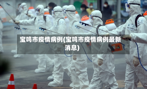 宝鸣市疫情病例(宝鸣市疫情病例最新消息)-第2张图片