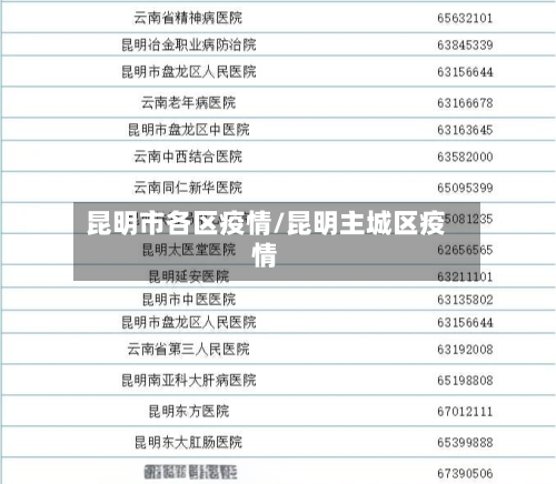 昆明市各区疫情/昆明主城区疫情