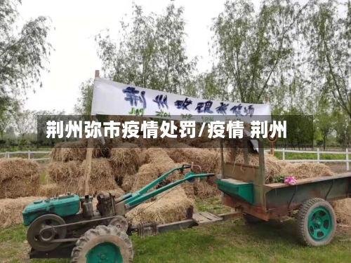 荆州弥市疫情处罚/疫情 荆州