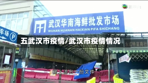 五武汉市疫情/武汉市疫情情况
