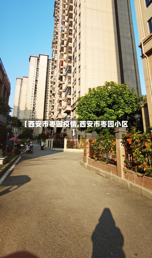 【西安市枣园疫情,西安市枣园小区】-第2张图片