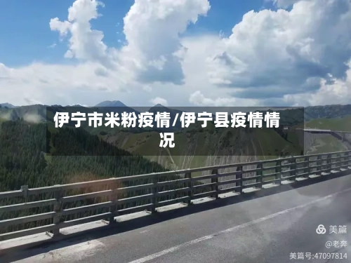 伊宁市米粉疫情/伊宁县疫情情况-第3张图片