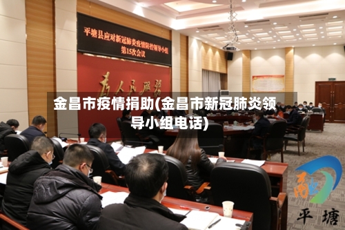 金昌市疫情捐助(金昌市新冠肺炎领导小组电话)-第1张图片