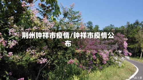 荆州钟祥市疫情/钟祥市疫情公布-第3张图片