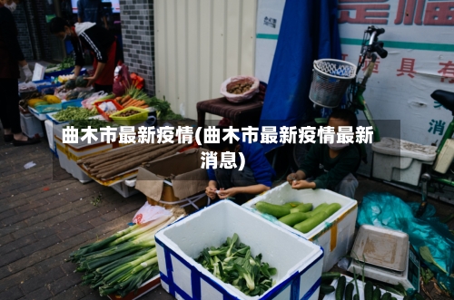 曲木市最新疫情(曲木市最新疫情最新消息)