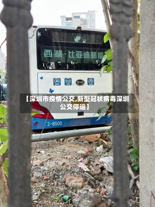 【深圳市疫情公交,新型冠状病毒深圳公交停运】-第3张图片