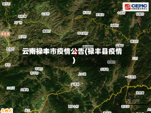 云南禄丰市疫情公告(禄丰县疫情)-第1张图片