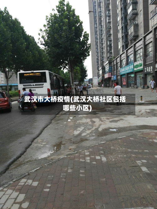 武汉市大桥疫情(武汉大桥社区包括哪些小区)-第2张图片