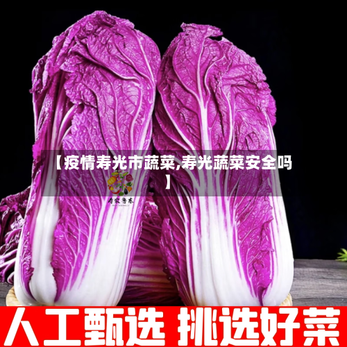 【疫情寿光市蔬菜,寿光蔬菜安全吗】-第3张图片