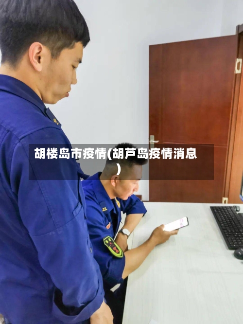 胡楼岛市疫情(胡芦岛疫情消息)