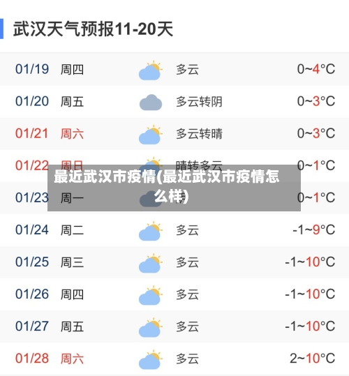 最近武汉市疫情(最近武汉市疫情怎么样)-第3张图片