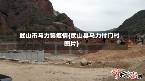 武山市马力镇疫情(武山县马力付门村图片)