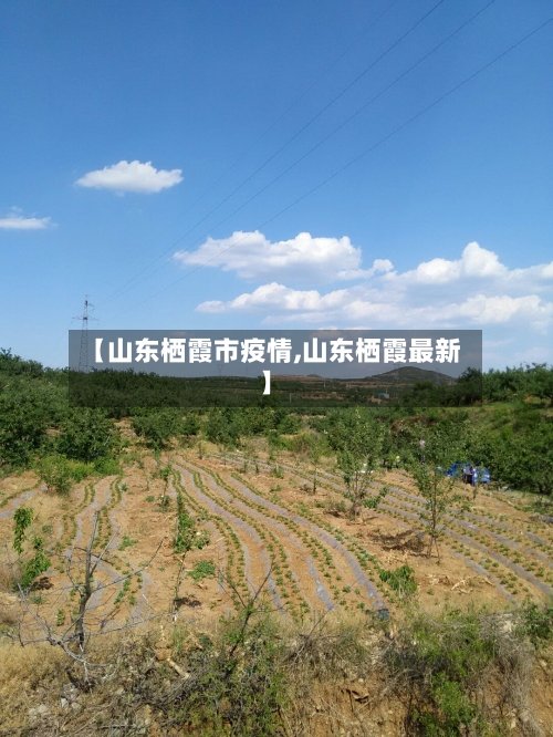 【山东栖霞市疫情,山东栖霞最新】
