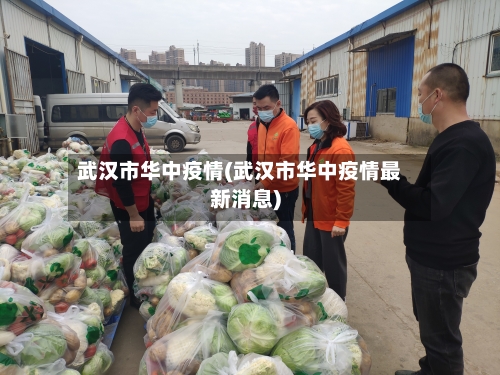 武汉市华中疫情(武汉市华中疫情最新消息)-第1张图片