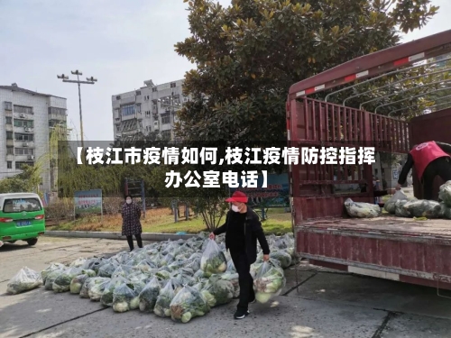 【枝江市疫情如何,枝江疫情防控指挥办公室电话】-第1张图片