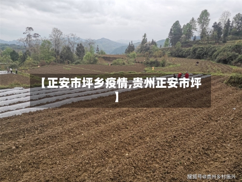 【正安市坪乡疫情,贵州正安市坪】